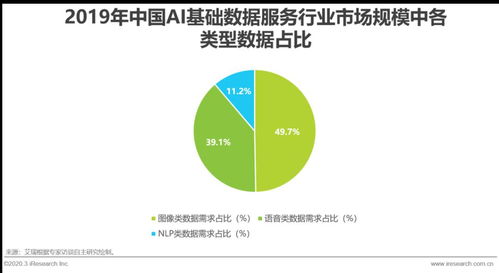 2020年中國AI基礎數據服務行業發展報告 數據處理服務篇