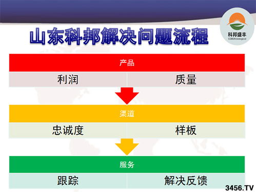 版權代理引爆市場熱潮 揭秘經銷商為何一天數十家爭相簽約